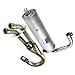 Caltric Exhaust Muffler And Exhaust Pipe with Gaskets Compatible with Yamaha Rhino 660 Yxr660 2004-2007