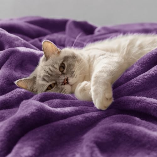 CozyLux Kuscheldecke Flauschig Decke 230x270 cm Purpur – Ansicht 4
