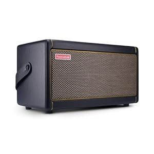 Positive Grid Spark 40-Watt Combo Practice Guitar Amplifier Electric Bass and Acoustic Guitar Amp with Spark Mobile App…