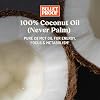 Bulletproof Brain Octane Softgels, 60 Count, Pure C8 MCT Oil for Sustained Energy