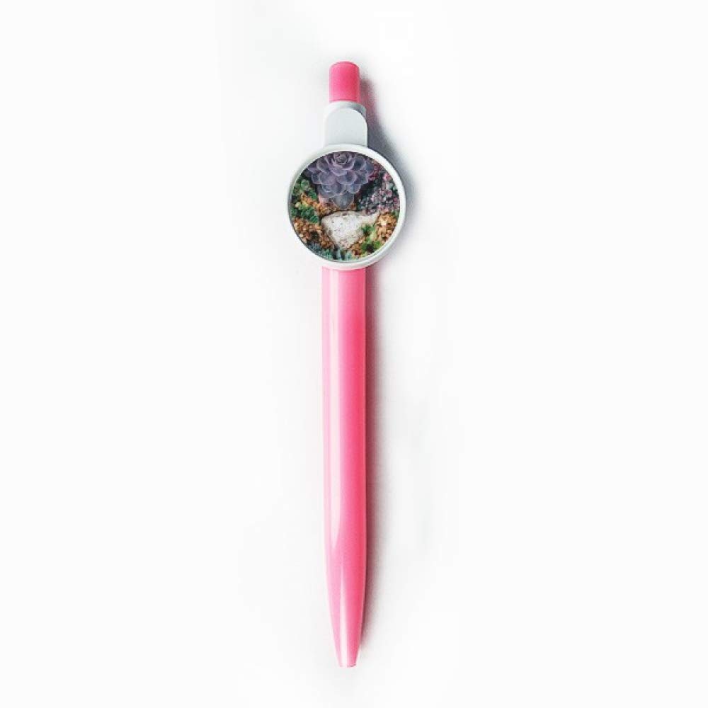 Stylo rétractable Pierre Fleur Science au fini soigné - 5