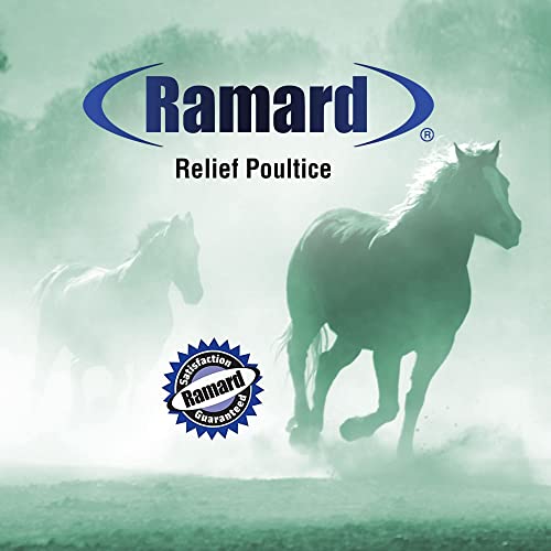 Ramard Animal Pain Relief Gel — Powerful Analgesic Formula To Quickly Relieve Joint, Tendon, Foot, Leg And Muscle Pain — Rub Gel Into Animal's Skin Or Apply Under A Wrap - 2 Pack #TOP5