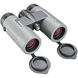 ニトロ10x36 BN1036G