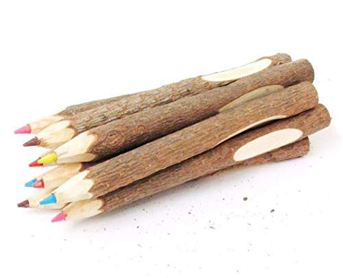 Twigs And Branches Fun Pencils- 10 Wooden Log Pencils In Assorted Bright And Vibrant Colors - Amazing Kids Students Gift Party Favor, Great Fun To Write With! By Mega Stationers