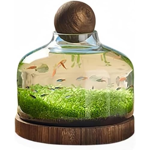  {g KX }CNhXP[v ؐgC a GR{g hXP[v k͔|(J[ubN TNsN L^x[X)