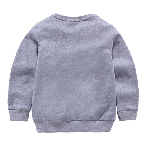 DCUTERQ Boys' Crewneck Thin Sweatshirt Girls Sport Long Sleeve Cotton Pullover Tops Kids Toddler Solid T-Shirt2