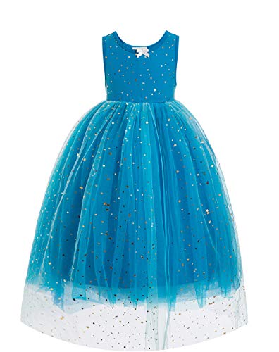 Waruila Elsa Tutu Dress for Girls Little Girls Princess Fancy Dress Elsa Costume Elsa Tutu Prestige Costume 1st Bithday (Blue, 3-4T)