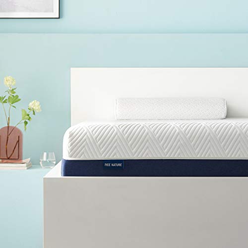 Best 6 Inch Mattress to buy 2024 Wild River Review