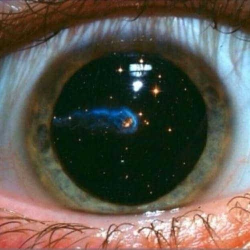 Não Tenho Boca e Preciso Gritar