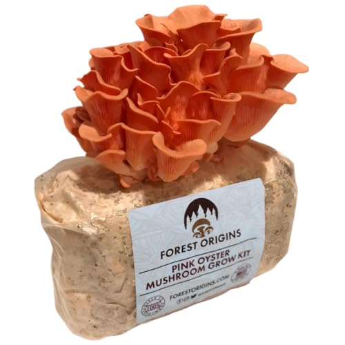 Forest Origins Pink Oyster Mushroom Grow Kit, Beginner Friendly & Easy to Use, Grows in 10 Days |...