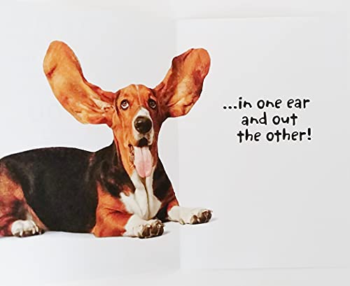 Greeting Card Dad It's Father's Day So Remember Whatever You Say Goes - In One Ear And Out The Other - Funny To Dad With Basset Hound #TOP1