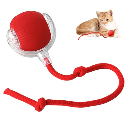 Interactive Cat Toy Ball for Indoor Cats - 2024 New Self-Rolling Dog Ball Automatic 360 Smart Electric Toy Fast Rolling on Carpet for Cats and Dogs (Red)