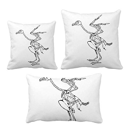 Housse de coussin autruche squelette déco canapé salon - 2