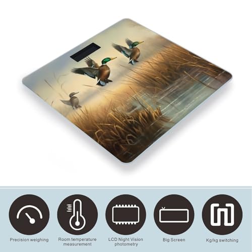 Báscula Digital de Baño con Vidrio Templado y Pantalla LCD miniatura 3