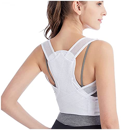 LwT|[^[ Lwxg p w؃T|[^[ bVn ʋC }WbNe[v w ˂ xg ˂ p   Lw ߉\ ڗȂ EȒP jpizCgj(M)