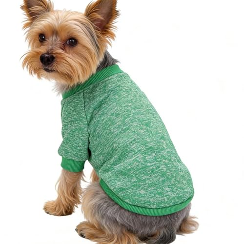 Pull pour Petits Chiens - Vêtement en pour Chiot - Vêtements Chauds pour Chiens - pour l'automne, la Marche, Le Camping, Les Mariages, Le Shopping, Les Aventures de Voyage et Noël