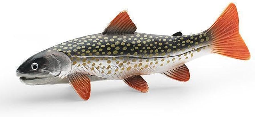 Amazon.co.jp: [猫神山] 岩魚 イワナ 川のサカナ 渓流 魚