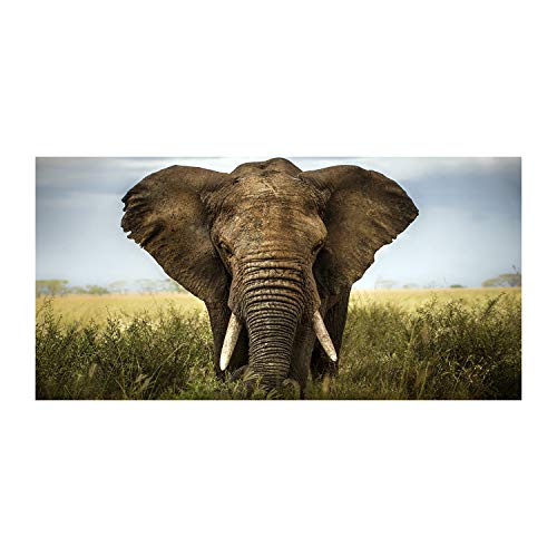 Dosseret en verre trempé Tulup 140x70cm finition prestige brun