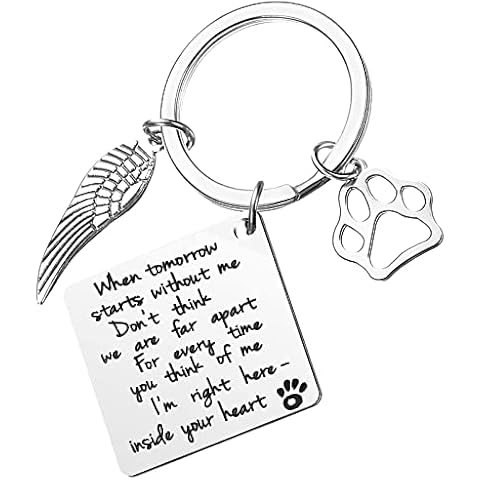AXEN Pet Memorial Gift Loss of Pet Memorial Keyring Sympathy Gift Keychains with Dog Cat Paw Prints Cover