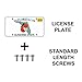 PRIME AVE Stainless Steel License Plate Screws for License Plates, Frames, Covers - Front/Rear Rust Proof Car Tag Screws - Licence Plate Screw Set Compatible with BMW (Pack of 8)