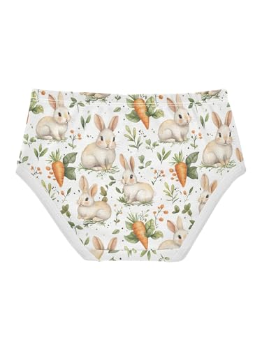 ZZKKO Cute Rabbits and Carrots Girls Underwear Toddler Panties for Girls Comfort Brief Size 2T2