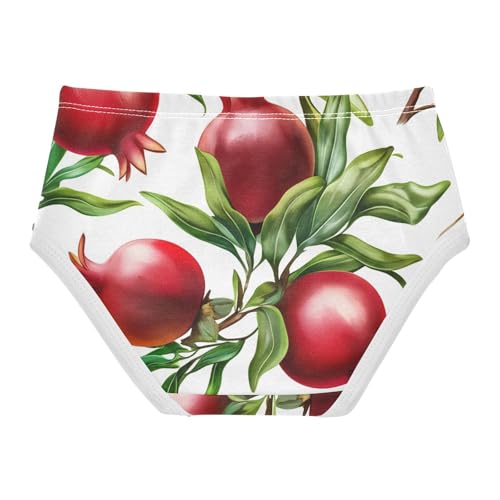 Fancy Girls Underwear Toddler 2t Cotton Little Girl Panties Red Pomegranates Green Leaves Briefs Kids Undies2