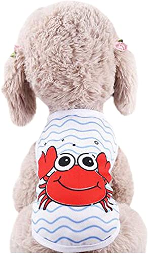  ybg  m hbOEFA TVc pW} xXg ʋC bV X|[c 㒅 t@bV lC  ^ L ybgpi tĕ ₩ Eѕی U o (M I)