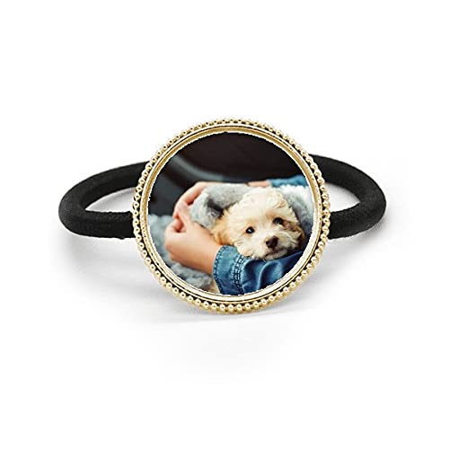 Pajarita para el pelo de metal plata para fotografía de cachorro y tocado animal