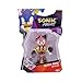 Sonic Prime 5-inch Black Rose - No Place Action Figure 13 points of Articulations. Ages 3+ (Officially licensed by Sega and Netflix)
