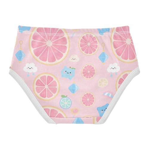 Girls' Underwear Grapefruit Toddle Brief Panties 2-8 Years 203005912
