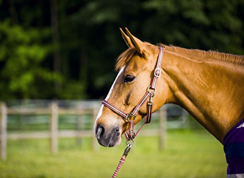  Licol Tricolore Doux - Brun Clair/rose/blanc -...