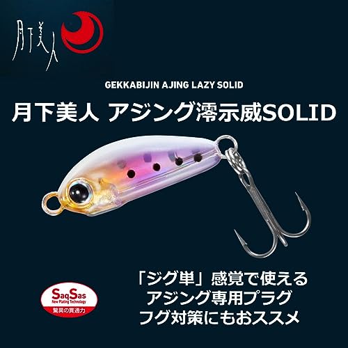 ダイワ(DAIWA) 月下美人 アジング澪示威 SOLID 20S 2枚目