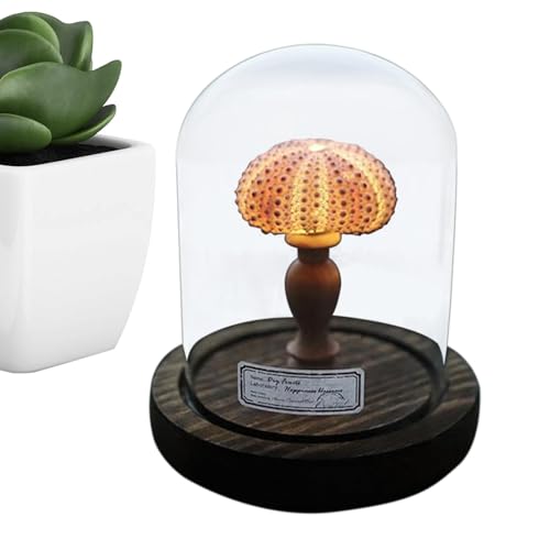 Murex - Lámpara de noche náutica con conchas marinas, luz nocturna de concha costera, lámpara decorativa inspirada en la playa para dormitorio, sala de estar o decoración del hogar, ideal para amantes