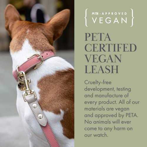 NINA WOOF Rio Dog Lead, Vegan Leather Dog Leads for Small dogs to Large Dogs, Durable Walking and Dog Training Leads - Image 4