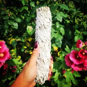 Californian White Sage