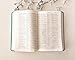 NLT Thinline Center-Column Reference Bible, Filament Enabled (LeatherLike, Peony Rich Teal, Indexed, Red Letter)