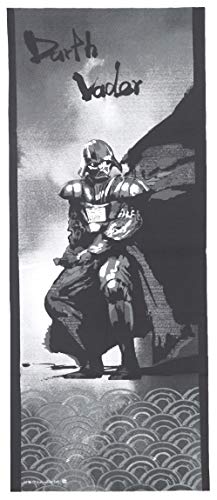  ʂ X^[EH[Y STAR WARS _[XxC_[ nG/_[XExC_[  { 2535031000