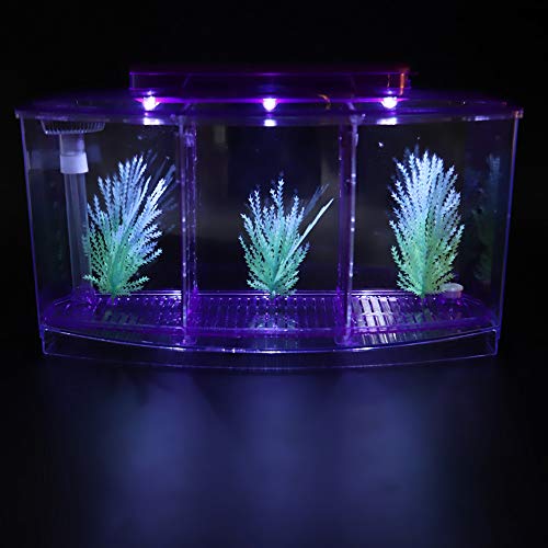 Aquário de Peixes Pequenos Com Isolamento de Peixes, Aquário de Acrílico LED, Caixa de Isolamento de