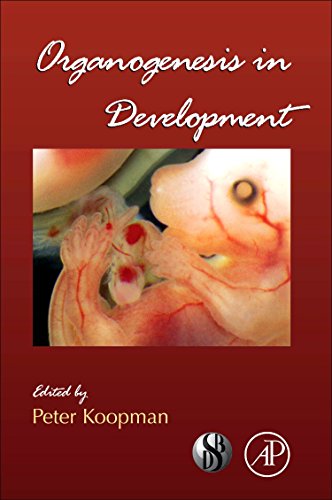 Organogenesis in Development view 2