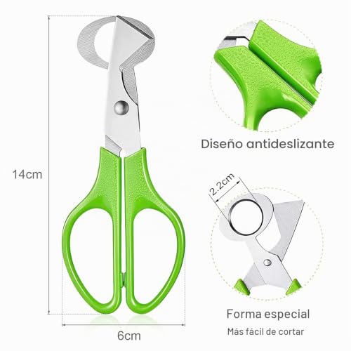 Miniatura 3 de Izhuoke Tijeras De Acero Inoxidable Para Abrir Y Cortar Cáscara De Huevos De Codorniz Y Otros