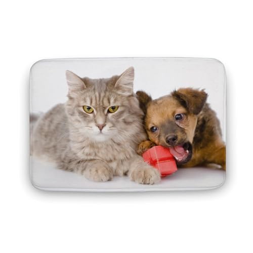 L Č  oX}bg   z փ}bg  O   \ ~ Aj LN^[ @}bg   ʏ