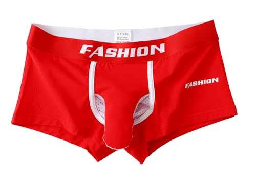 eywlwaar Men's Boxer Briefs Mesh Trunks Underwear