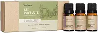 Kit 3 Óleos Essenciais Iniciante Via Aroma - Lavanda, Menta Piperita e Tea Tree