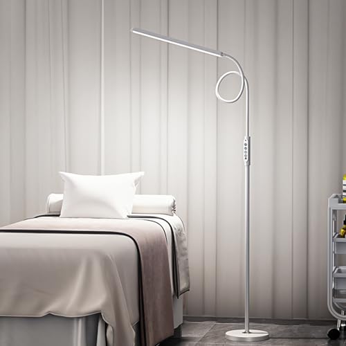 Bright LED Eye-Protecting Reading Floor Lamps with Touch and Remote Dimming 3000-6000k for Eyelash Manicure Craft Drawing Makeup Living Room Bedroom Office, Adjustable Gooseneck Modern Standing Light