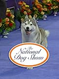 The National Dog Show (2013)