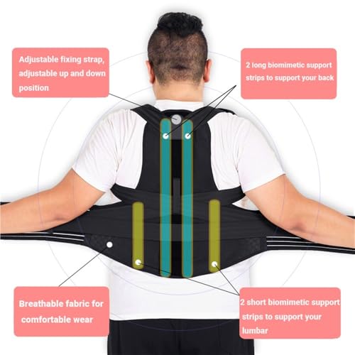 Corrector de postura ajustable faja lumbar escoliosis y joroba talla 5XL 4