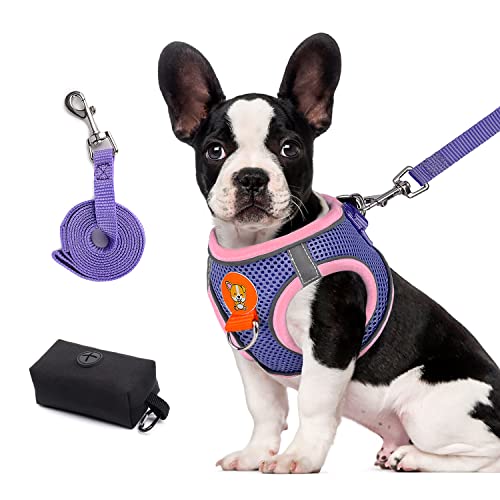 PETLOFT Arnes Perro con Correa y Bolsa, Paso en Sin Tirones Sin Asfixia Arnés de Chaleco para Perros para Perros Mediano Pequeño Mascotas, Púrpura Cover