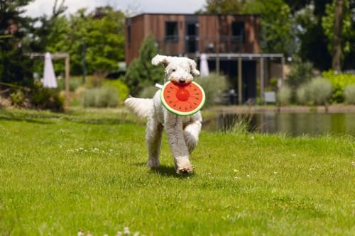 Karlie 2in1 Frisbee Melone mit Noppenball - 25 cm