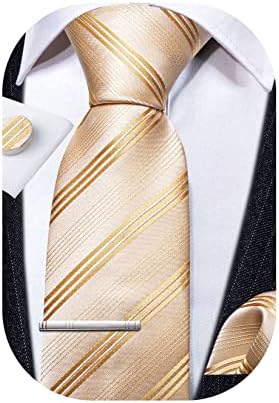 Barry.Wang Men Tie Set Stripe Plaid Paisley Woven Silk 4PCS Wedding Party Casual Business Working Necktie