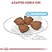 Royal Canin Hundefutter Mini Starter 8.5 kg, 1er Pack (1 x 8.5 kg)